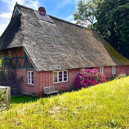 Apartmán Elbkoje Drage  Exteriér fotografie