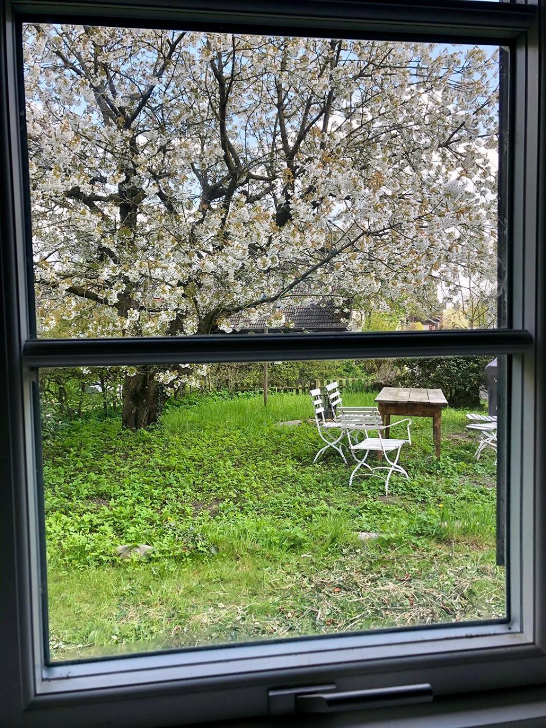 Apartmán Elbkoje Drage  Exteriér fotografie